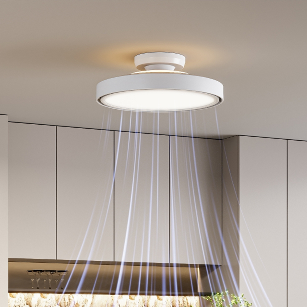 W 에어룩스 윙리스 BLDC 실링팬